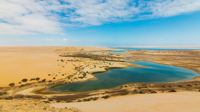 Excursão de 7 dias aos oásis de Siwa e Bahariya