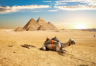 Tour de Luxo no Egito de 8 Dias no Cairo e Cruzeiro pelo Nilo